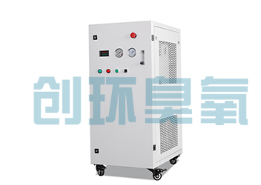 黔江石斑鱼养殖水质调控完整指南:臭氧发生器配置与操作步骤